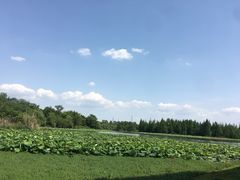 -白鹭湾湿地公园