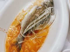 -聚春园自助餐厅(东街口店)