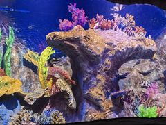 -秦皇岛新澳海底世界
