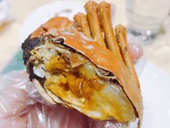-海王老记