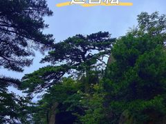 -黄山风景区