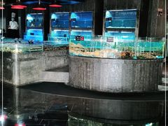 -徐记海鲜(梅溪新天地店)