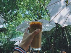 -Fern Forest Cafe