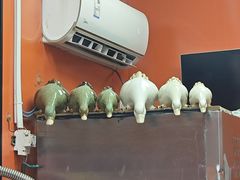 -张果佬年糕卷(科巷店)
