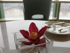 -三迪希尔顿酒店·星空酒廊