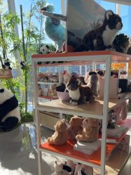 -IMON·HANSA潮玩玩偶毛绒玩具(通州万象汇店)