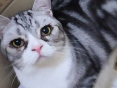 -过桥缘·过桥米线(西冶街店)