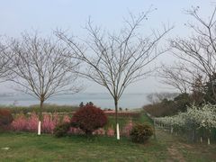 -南京金牛湖风景区