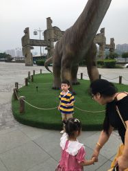 点击看大图 -恐龙探索乐园(磁器口店)