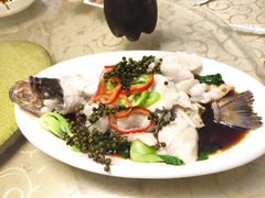 清蒸鲈鱼-胖子菜馆(隆昌路店)