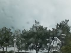 -中华人民共和国水准零点