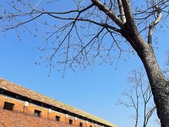 -祝甸砖窑文化馆