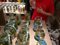 -酷乐潮玩(金桥国际店)
