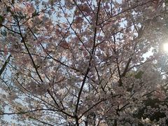 -醍醐寺
