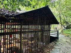 -大鄣山卧龙谷景区