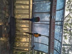 iphone_upload_pic-百鸟园