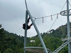 -西霞口神雕山野生动物世界