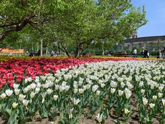 -长春公园(普阳街道)