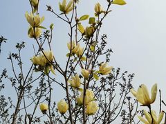 -铁道游击队纪念馆