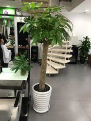 -永琪美容美发