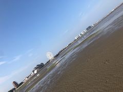 -碧海金沙