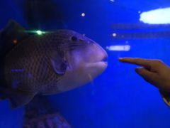 -华夏文旅海洋公园