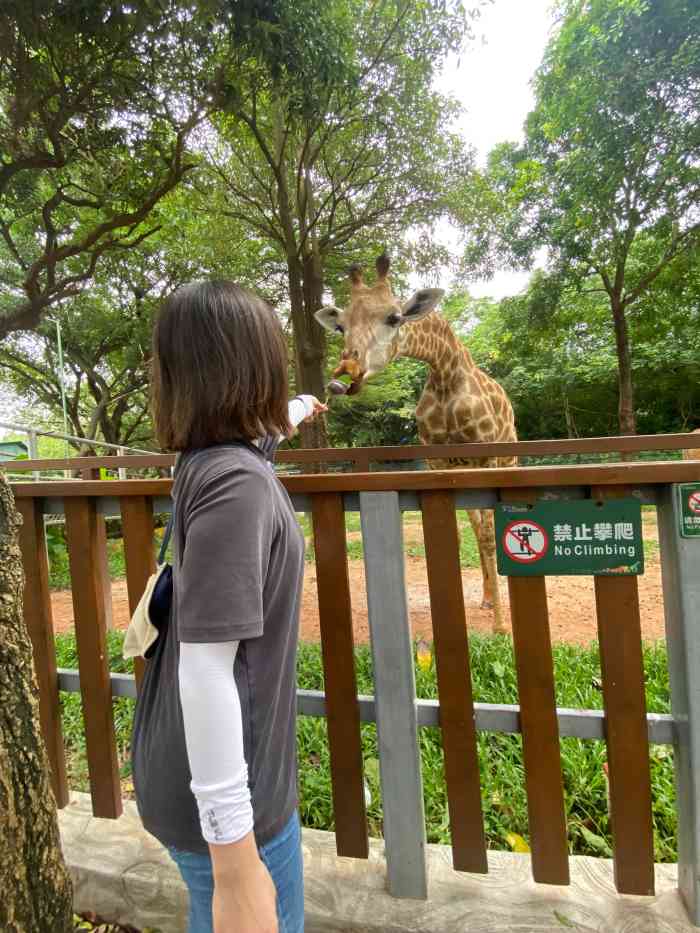 深圳野生動物園-