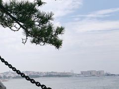 -栈桥景区