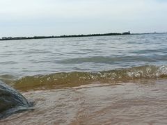 -瑶湖郊野森林公园