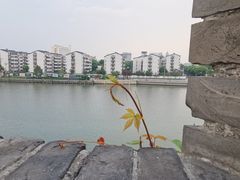 -相门城墙文化休闲景区