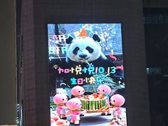 -无锡动物园·太湖欢乐园