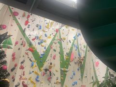 -绿壁虎攀岩基地(Tcar店)