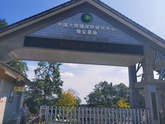 -碧峰峡风景区