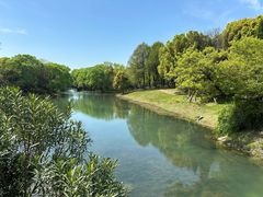 -贡湖湾湿地公园