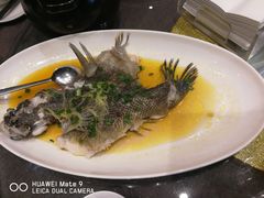 -熠盛粤味·顺德桑拿鸡(永康路店)