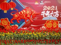 -成都动物园
