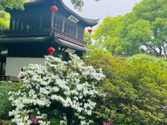 -惠山古镇·寄畅园