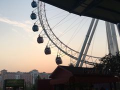 -杭州乐园