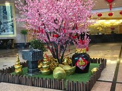 -南京维景国际大酒店(南京博物院店)