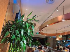 -云海肴·汽锅鸡·云南菜(领展购物广场·中关村店)