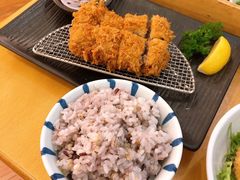 -胜博殿日式炸猪排(西红门店)