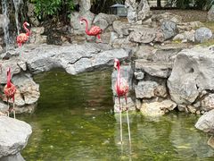-三亚亚龙湾美高梅度假酒店Fun动冲浪
