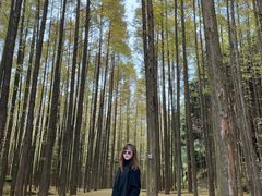 -山王坪喀斯特国家生态公园