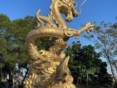 -聚龙山公园