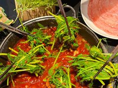 -巴蜀大将火锅(春熙店)