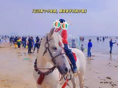 -东戴河风景区-止锚湾