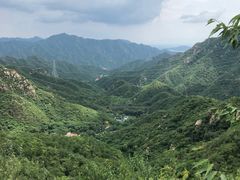 -大岭沟猕猴桃谷风景区
