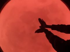 -苏州5D星空错觉艺术馆