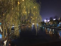 -运河游船(武林门码头)