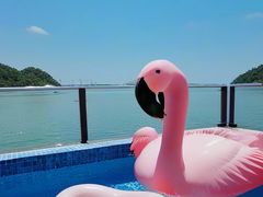 -巽寮湾